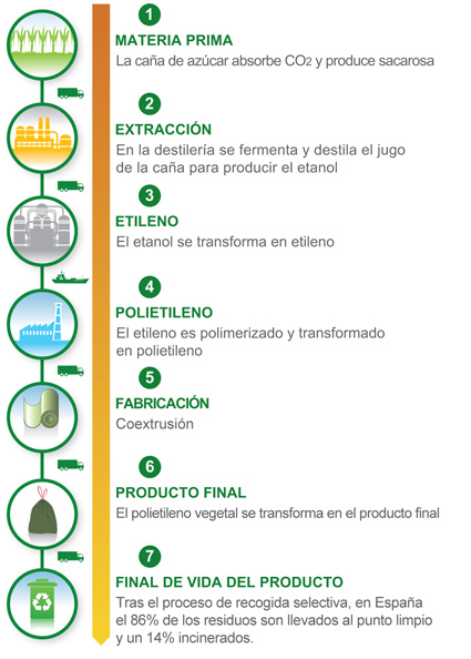 Proceso Vertical